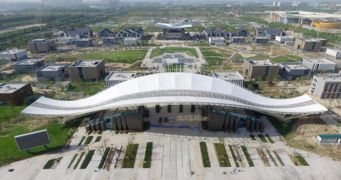 上海CAD二次開發公司盤點與技術咨詢指南